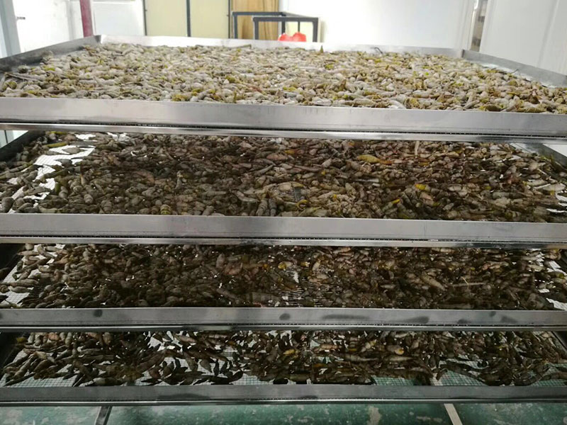 湖北野生石斛烘干機項目
